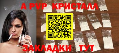 шишки Аргун