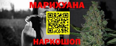 шишки Аргун