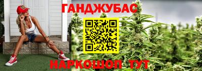 шишки Аргун