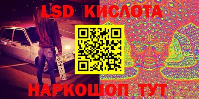 шишки Аргун